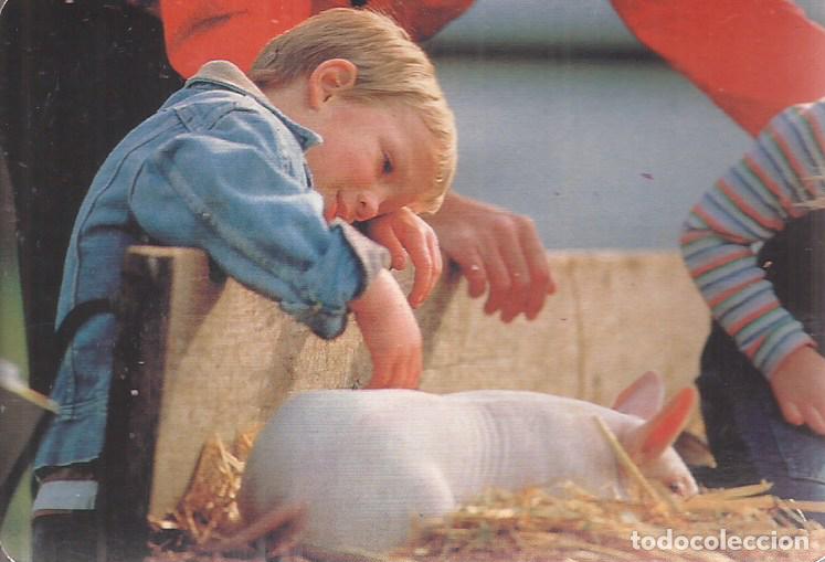 Coleccionismo Calendarios: CALENDARIO SERIE A&Ntilde;O 1994 SERIE W.C.B. N&ordm; 219