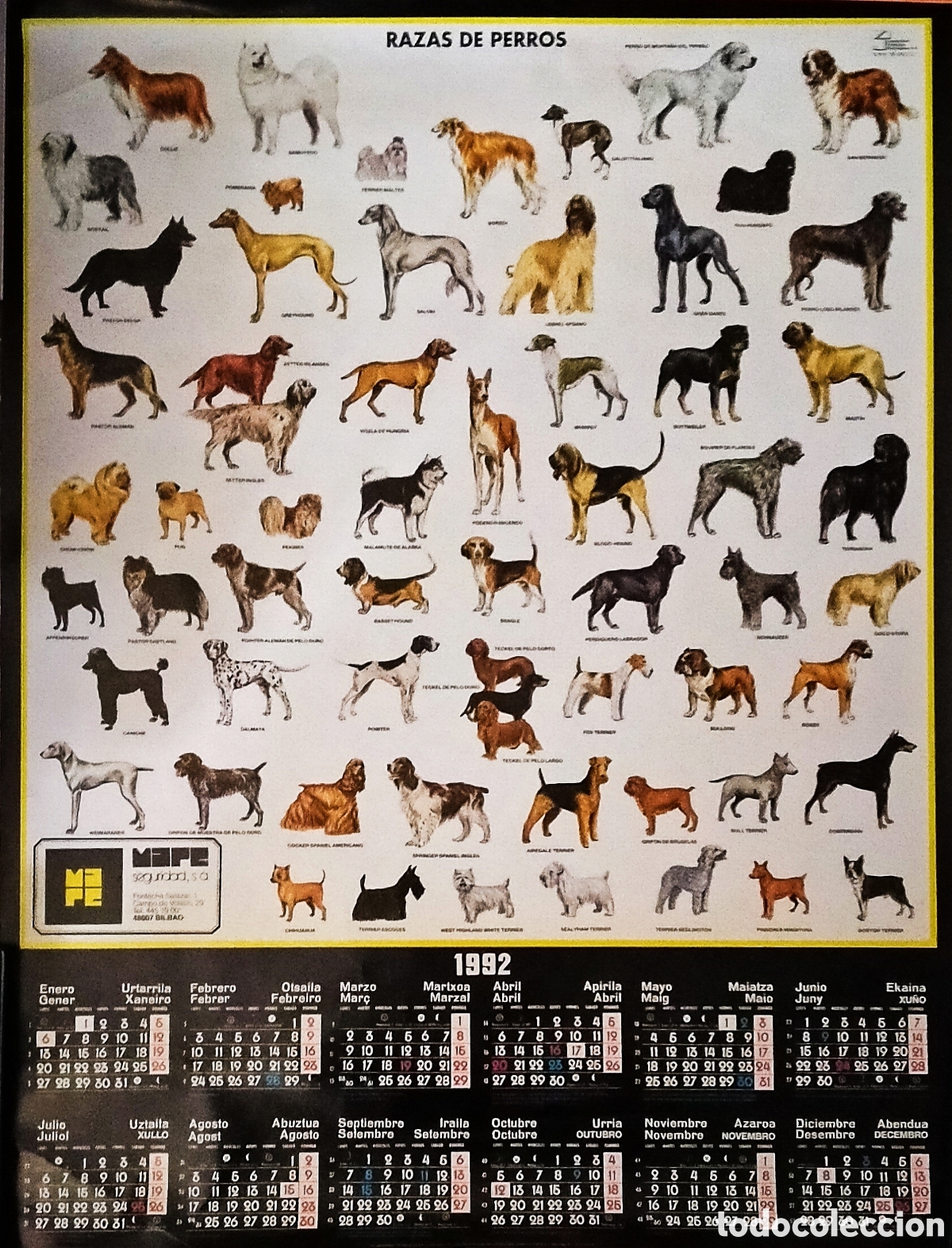 Coleccionismo Calendarios: CALENDARIO A&Ntilde;O 1992 (S. XX). PERROS; * RAZAS CANINAS *. Medidas: 88,5 x 66,5 cm.