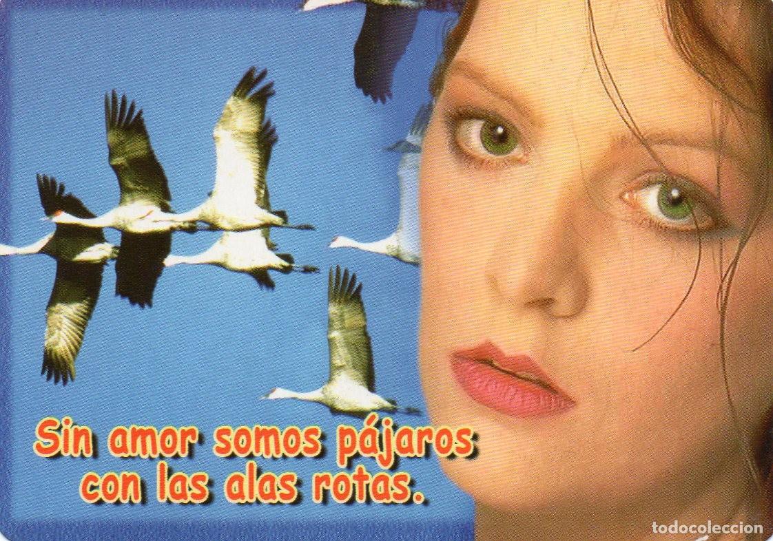 Coleccionismo Calendarios: Calendario de Serie 2007 - SERIE - BO. 610