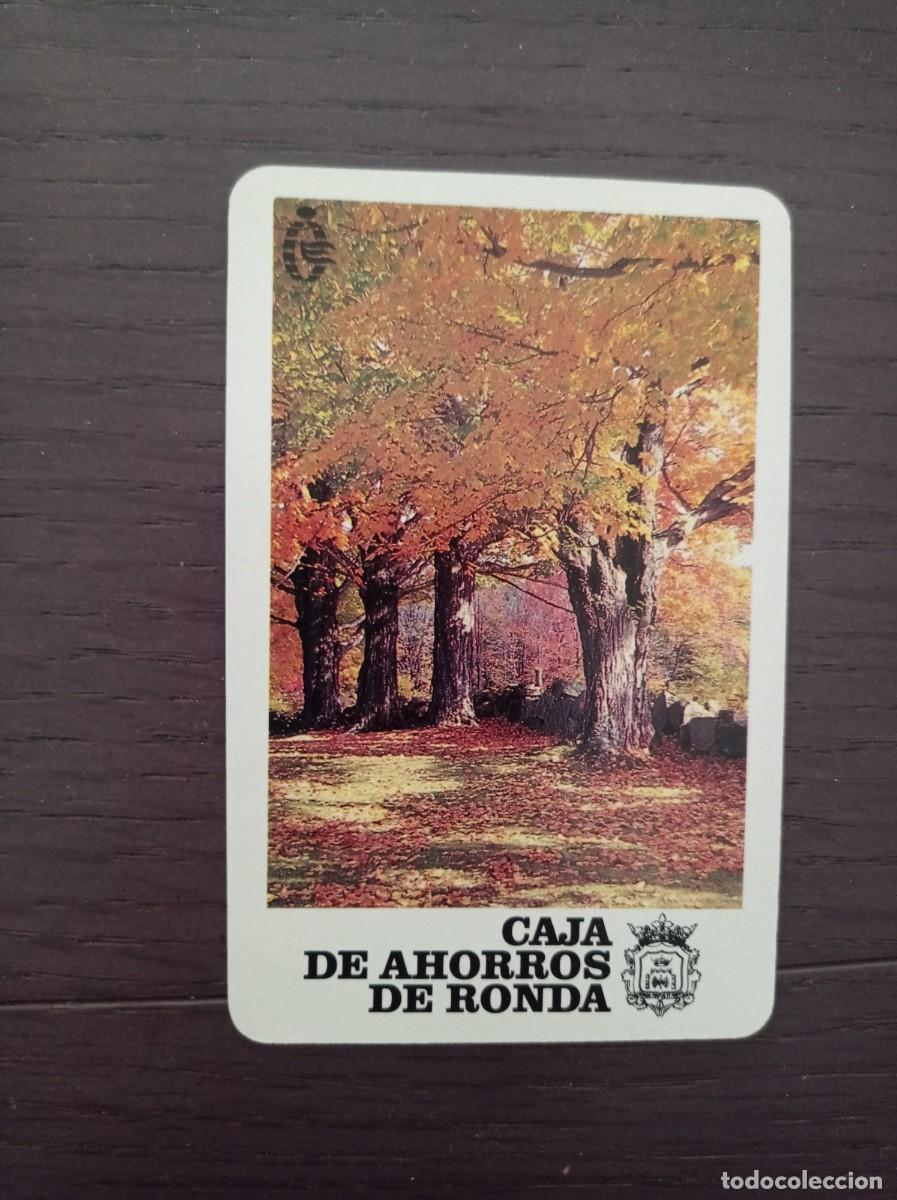 Sammeln von Kalendern: CALENDARIO FOURNIER. CAJA DE AHORROS DE RONDA. A&Ntilde;O 1991