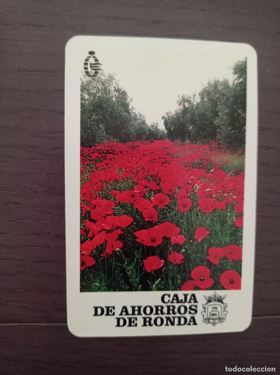 Sammeln von Kalendern: CALENDARIO FOURNIER. CAJA DE AHORROS DE RONDA. A&Ntilde;O 1991