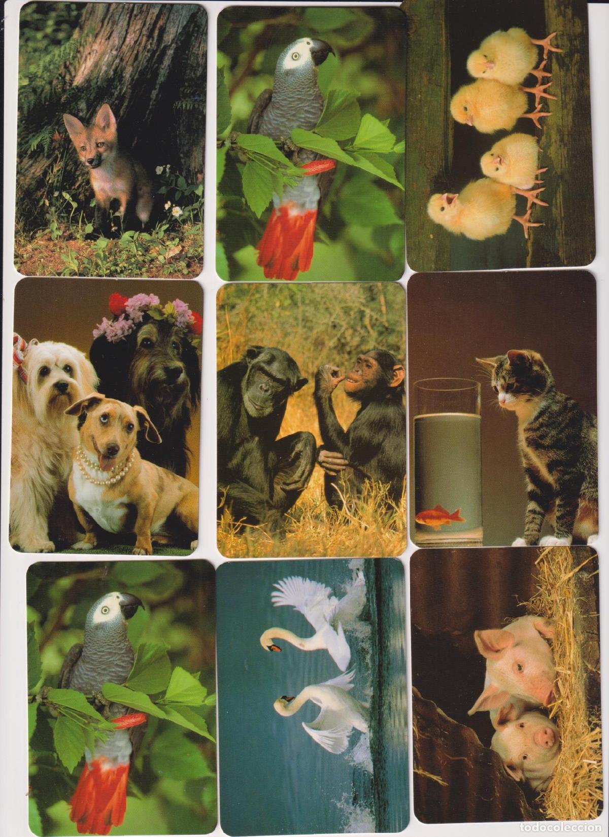 Colecionismo Calend&aacute;rios: Lote de 9 Calendarios EGC (animales) A&ntilde;o 2003