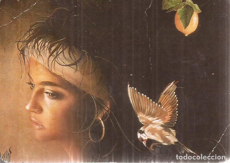 Coleccionismo Calendarios: CALENDARIO SERIE A&Ntilde;O 1994 SERIE B.O. N&ordm; 5833