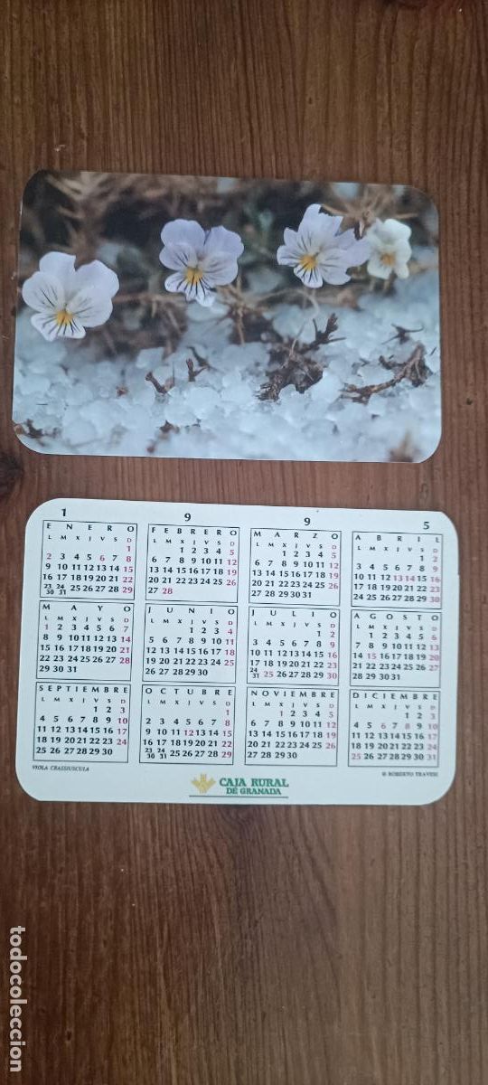 Coleccionismo Calendarios: CALENDARIO PUBLICITARIO. CAJA RURAL DE GRANADA. A&Ntilde;O 1995