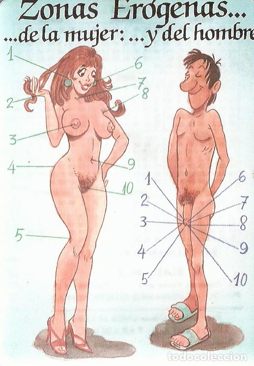 Coleccionismo Calendarios: CALENDARIO SERIE A&Ntilde;O 1994 SERIE L. N&ordm; 454