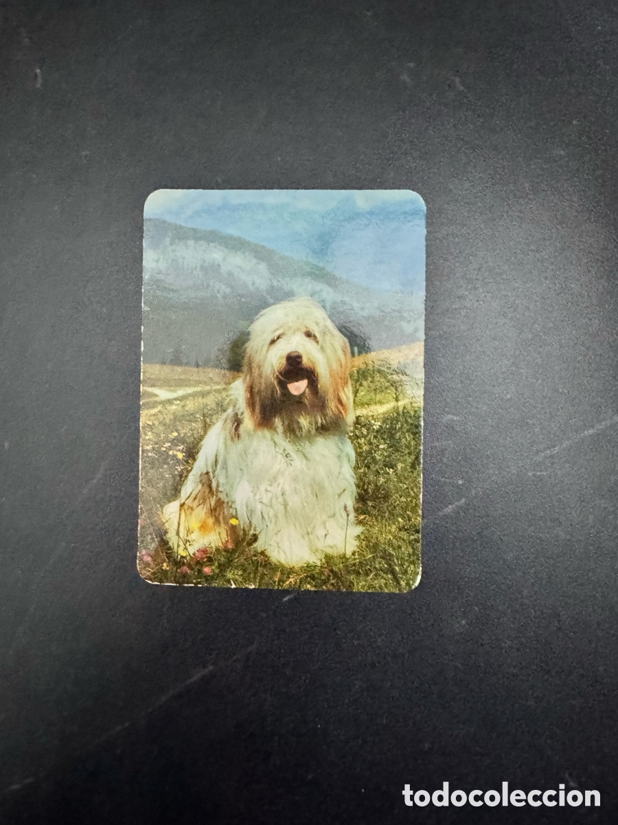 Coleccionismo Calendarios: Calendario publicitario Animales perros, 2000