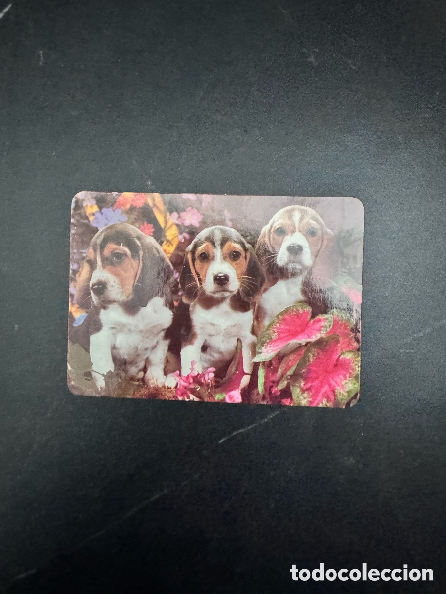 Coleccionismo Calendarios: Calendario publicitario animales perros a&ntilde;o 2002
