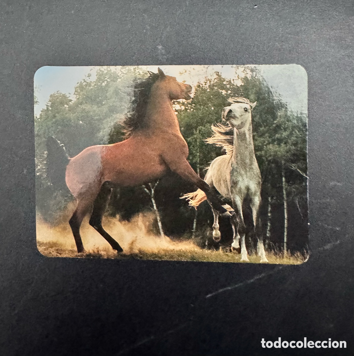 Coleccionismo Calendarios: Calendario publicitario animales, caballos, 2001