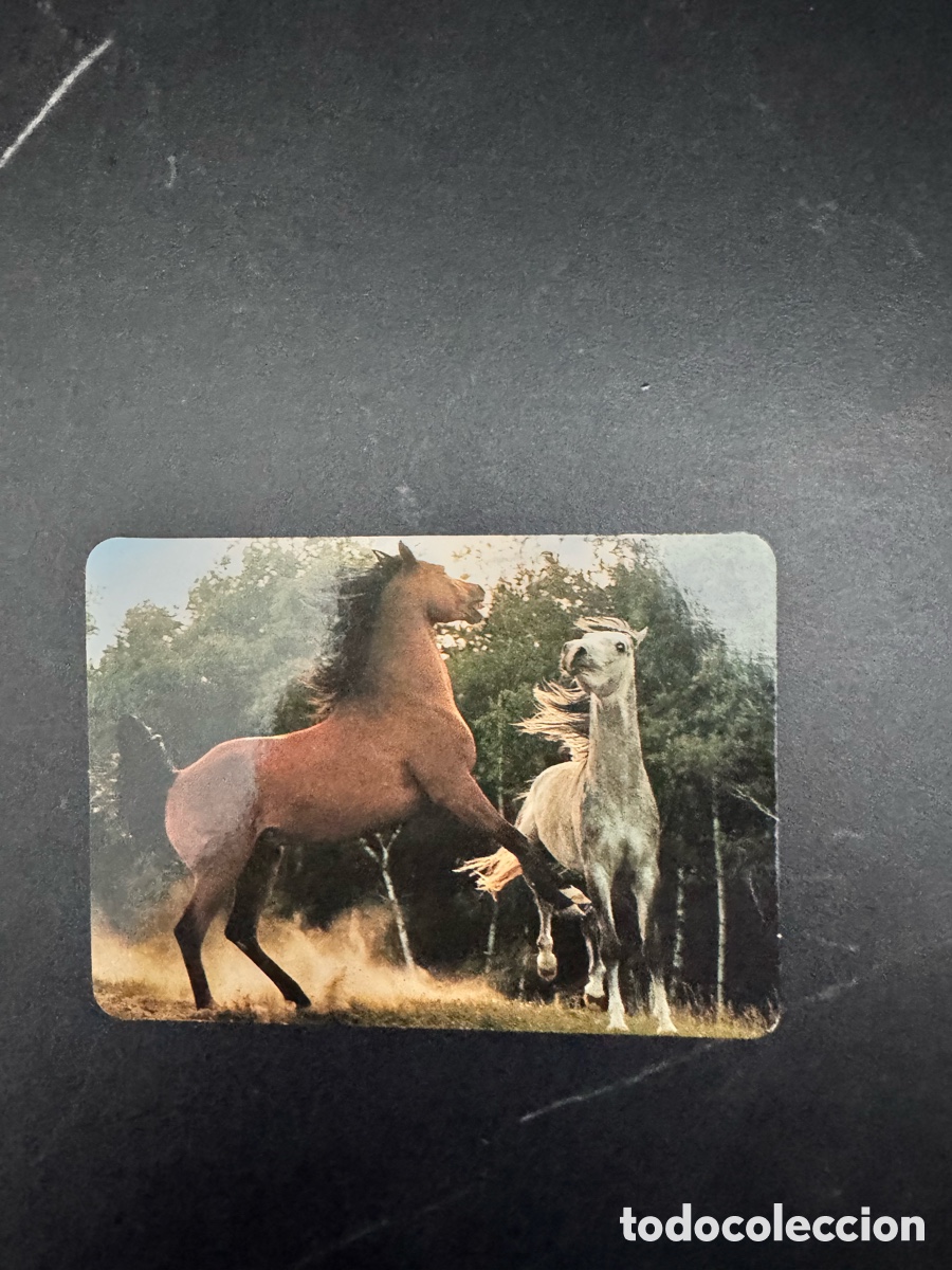 Coleccionismo Calendarios: Calendario publicitario animales, caballos, 2001