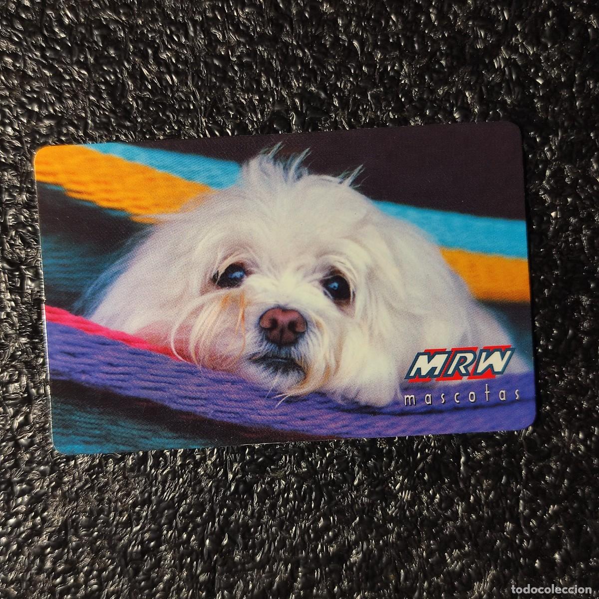 Coleccionismo Calendarios: CALENDARIO COCHES . MRW 2000 ** MASCOTAS . PERROS ** T4