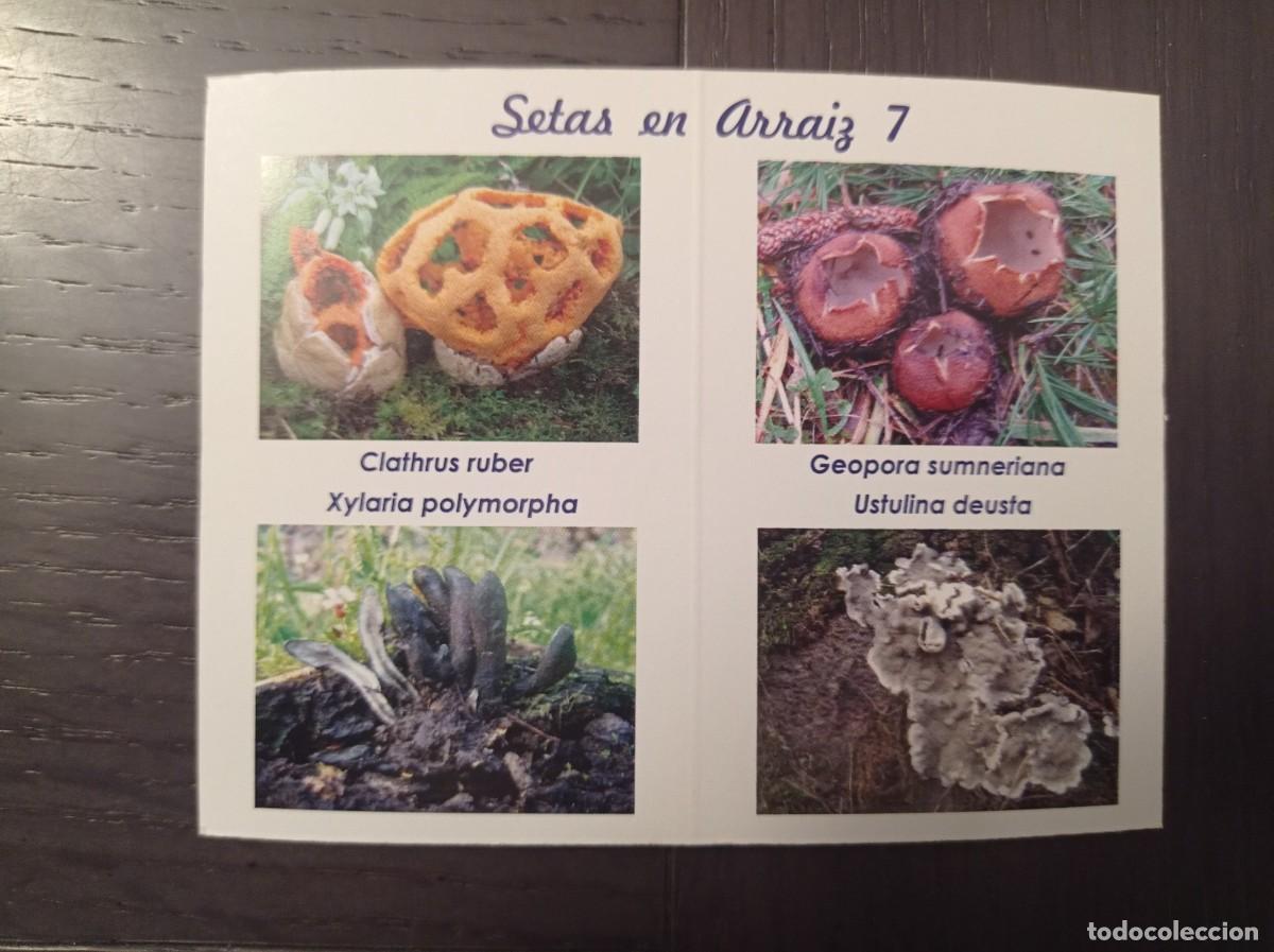 Collectables Calendars: CALENDARIO PUBLICITARIO. SETAS HONGOS. SOCIEDAD MICOL&Oacute;GICA BOLETUS ALBUS REKALDE BETOLAZA. A&Ntilde;O 2014