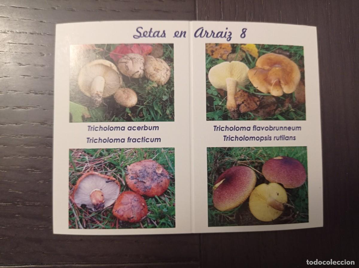 Collectables Calendars: CALENDARIO PUBLICITARIO. SETAS HONGOS. SOCIEDAD MICOL&Oacute;GICA BOLETUS ALBUS REKALDE BETOLAZA. A&Ntilde;O 2015