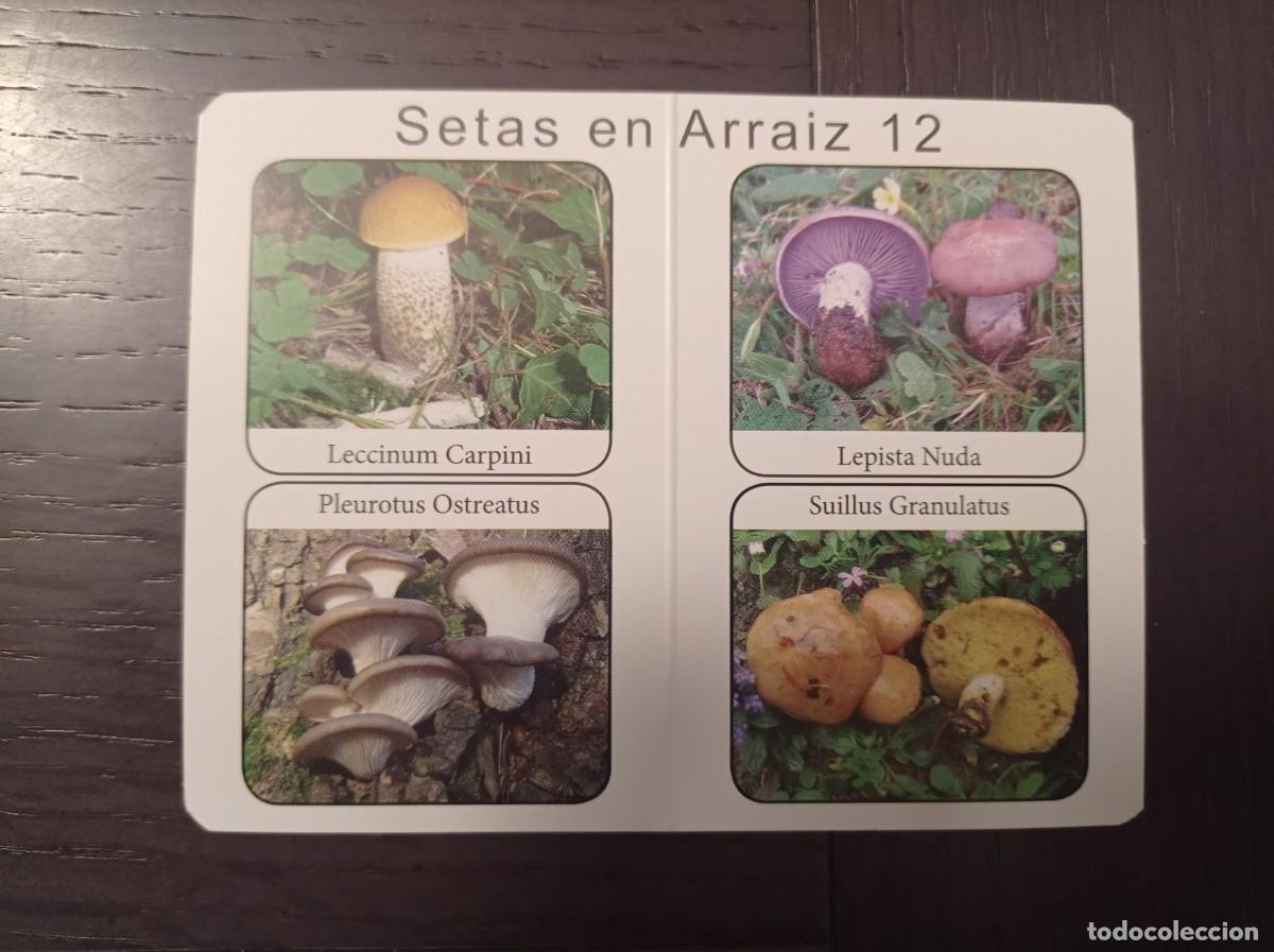 Collectables Calendars: CALENDARIO PUBLICITARIO. SETAS HONGOS. SOCIEDAD MICOL&Oacute;GICA BOLETUS ALBUS REKALDE BETOLAZA. A&Ntilde;O 2020