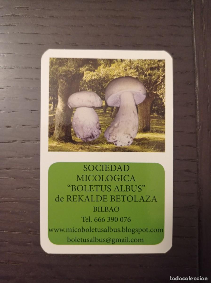 Collectables Calendars: CALENDARIO PUBLICITARIO. SETAS HONGOS. SOCIEDAD MICOL&Oacute;GICA BOLETUS ALBUS REKALDE BETOLAZA. A&Ntilde;O 2023