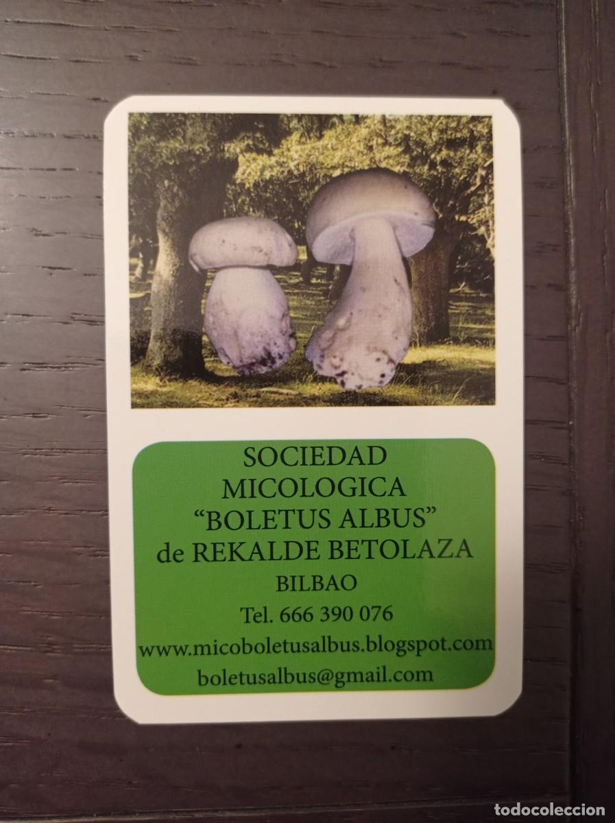 Collectables Calendars: CALENDARIO PUBLICITARIO. SETAS HONGOS. SOCIEDAD MICOL&Oacute;GICA BOLETUS ALBUS REKALDE BETOLAZA. A&Ntilde;O 2024