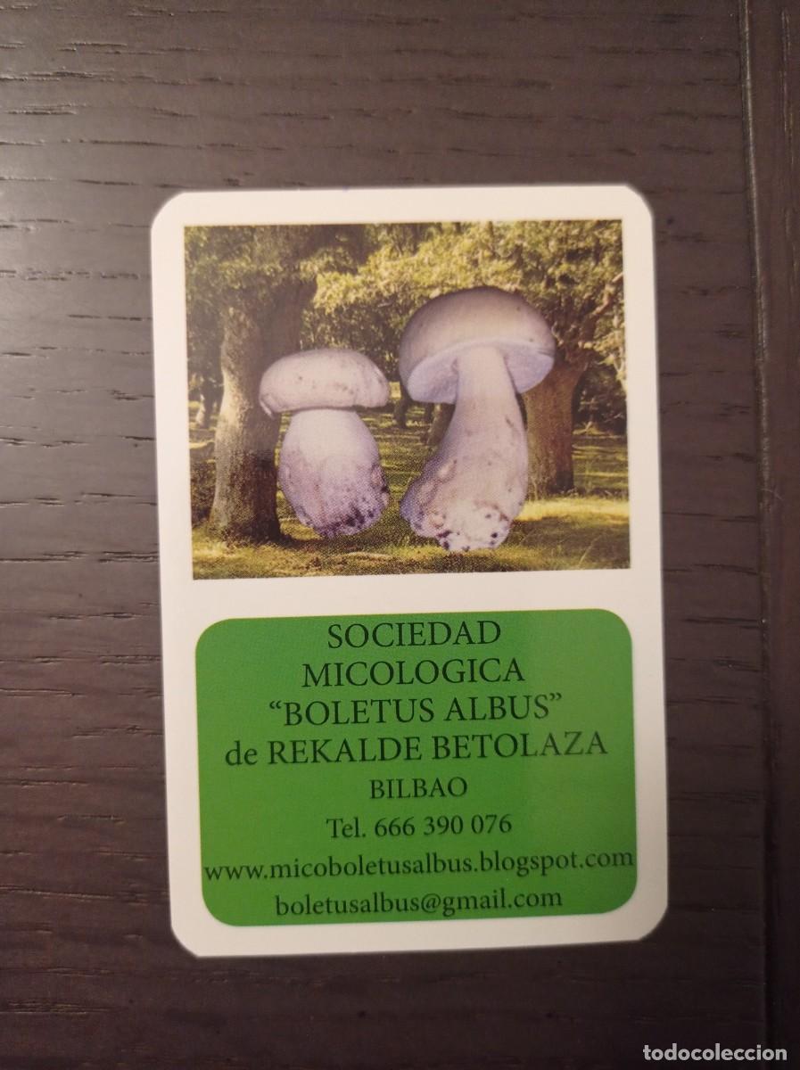 Collectables Calendars: CALENDARIO PUBLICITARIO. SETAS HONGOS. SOCIEDAD MICOL&Oacute;GICA BOLETUS ALBUS REKALDE BETOLAZA. A&Ntilde;O 2025