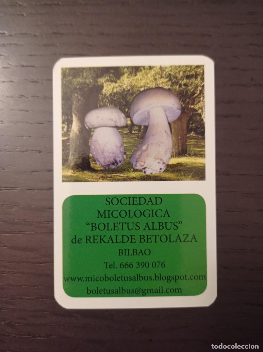 Collectables Calendars: CALENDARIO PUBLICITARIO. SETAS HONGOS. SOCIEDAD MICOL&Oacute;GICA BOLETUS ALBUS REKALDE BETOLAZA. A&Ntilde;O 2026