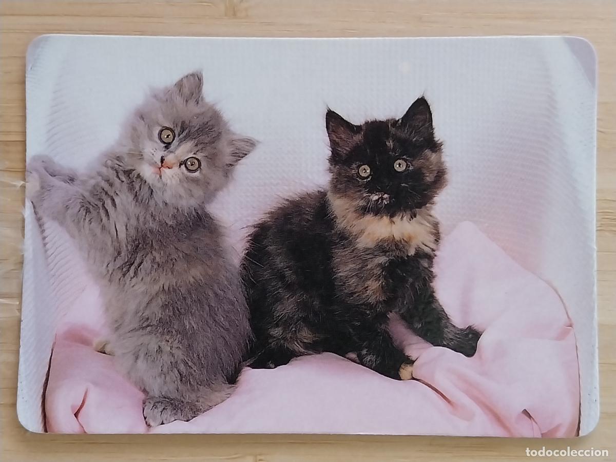 Coleccionismo Calendarios: GATOS CALENDARIO 1990 PUBLICIDAD FOTOCOPIAS IMAGEN REF MP 1