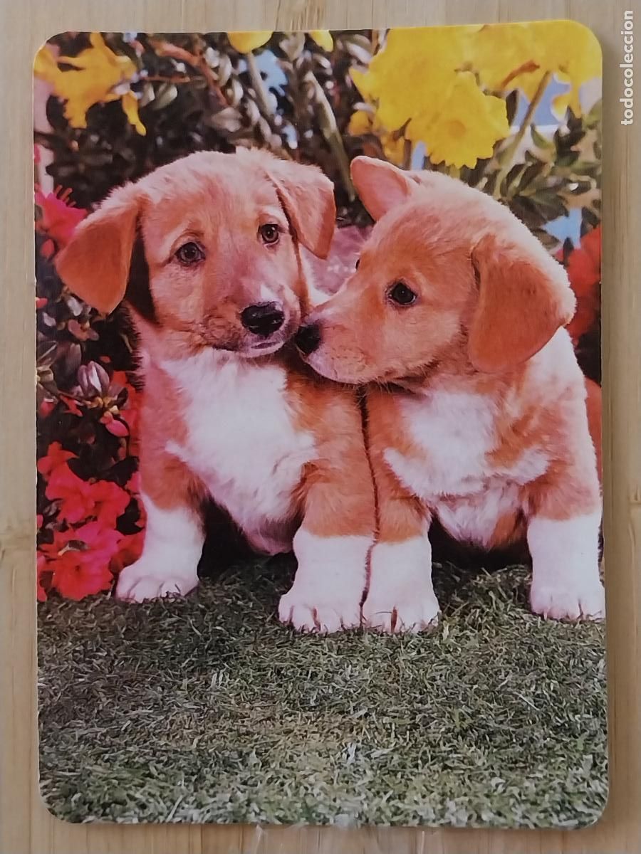Coleccionismo Calendarios: PERROS CACHORROS CALENDARIO 1990 PUBLICIDAD YAGHO FOTOGRAFIAS REF BO 5350
