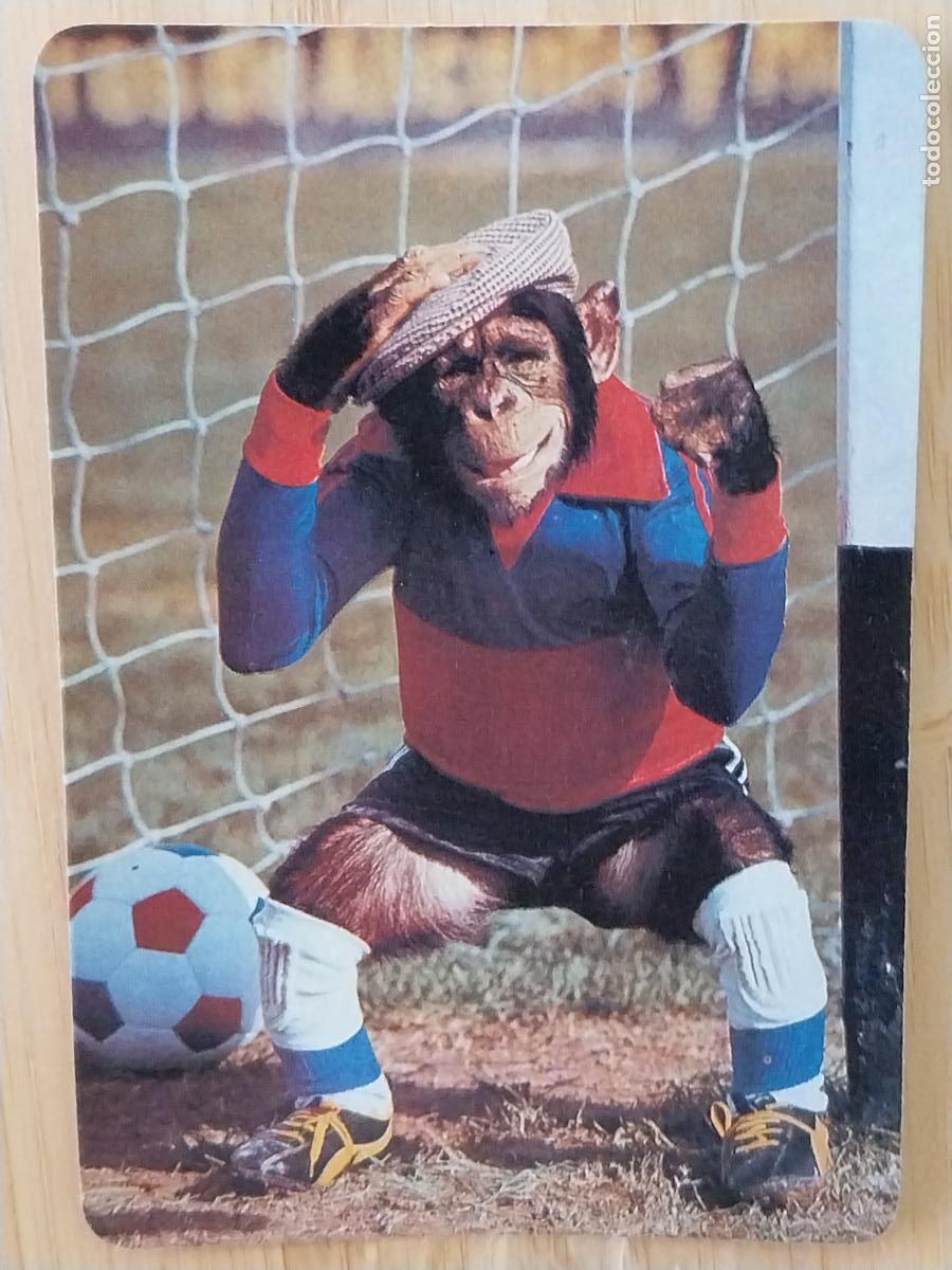 Coleccionismo Calendarios: CHIMPANCE PORTERO FUTBOL CALENDARIO 1987 PUBLI CA&Ntilde;ADA POLLOS REF MP 9