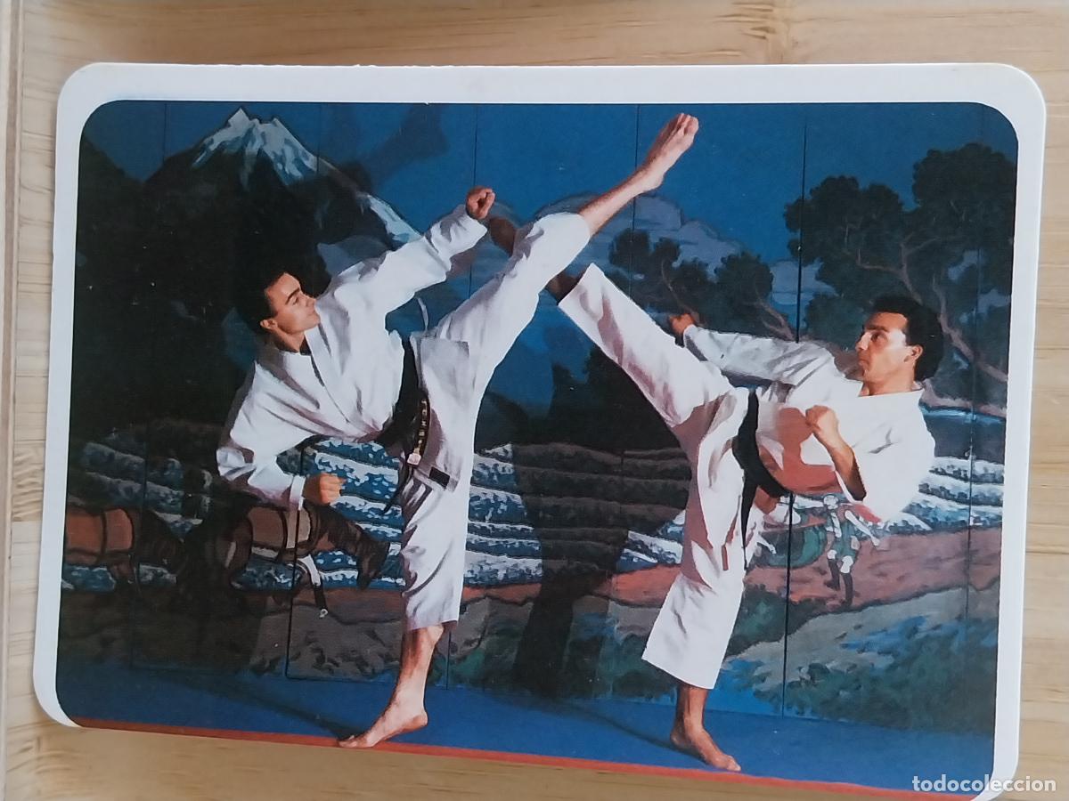 Coleccionismo Calendarios: ARTES MARCIALES KARATE JUDO CALENDARIO 1991 PUBLI IC INTERCLUB REF NO