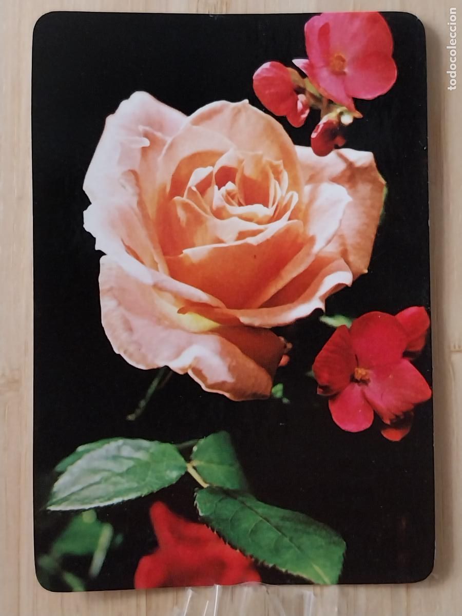 Sammeln von Kalendern: FLORES BODEGON CALENDARIO 1987 PUBLI NUEVA IMAGEN PELUQUERIA JESUS REF CLB 1276