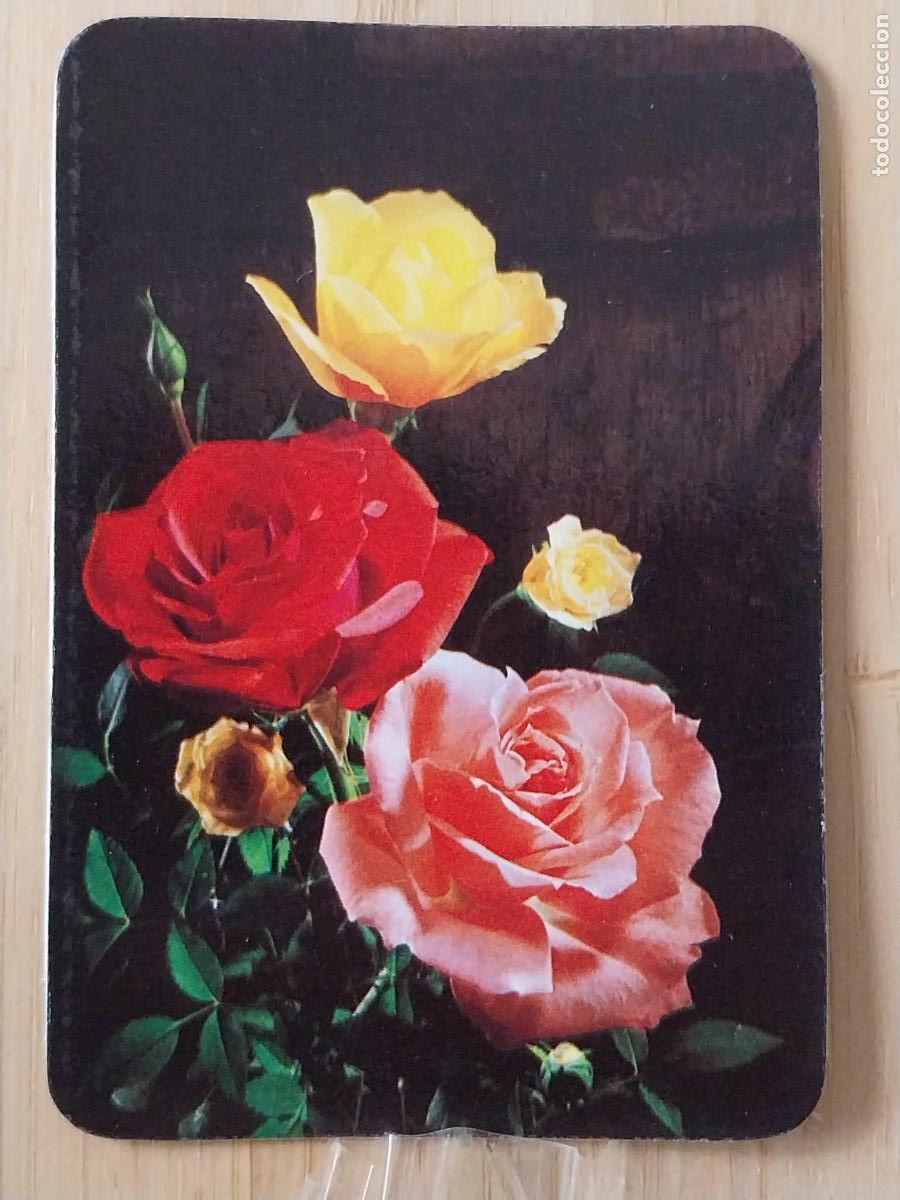 Collectables Calendars: BODEGON FLORES CALENDARIO 1984 PUBLI BAR PEREZ REF I G 738