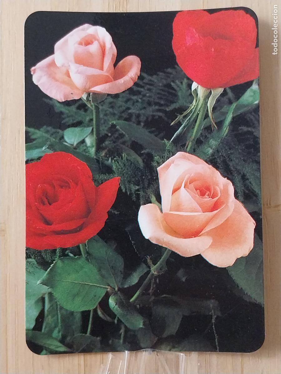 Sammeln von Kalendern: POBLADO C&Iacute;JARA BODEGON FLORES CALENDARIO 1996 PUBLI CASA MATI CACERES REF GD 30