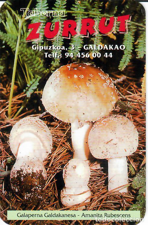 Coleccionismo Calendarios: CALENDARIO DE PUBLICIDAD - A&Ntilde;O 2000 - SETAS - TABERNA ZURRUT - GALDAKAO