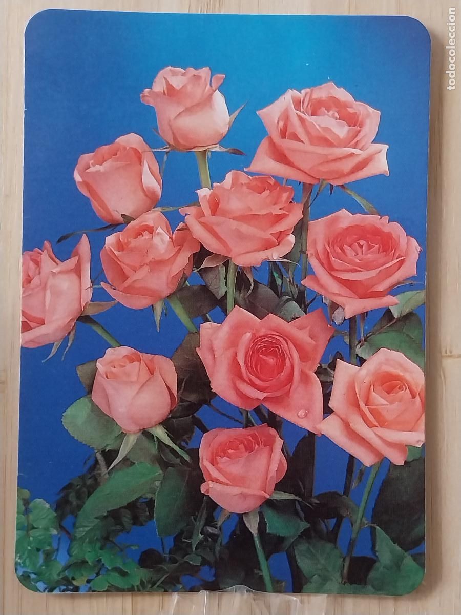 Sammeln von Kalendern: BODEGON FLORES CALENDARIO 1994 PUBLI ALFREDO&acute;S BAR REF L 167