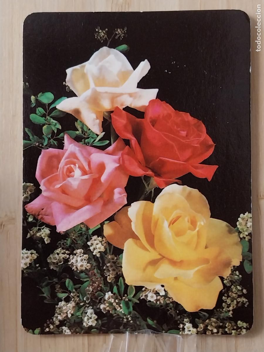 Collectionnisme Calendriers: BODEGON FLORES CALENDARIO 1992 PUBLI PACHANGA BAR REF BO 5616
