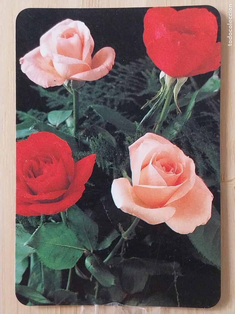 Coleccionismo Calendarios: POBLADO C&Iacute;JARA CACERES BODEGON FLORES CALENDARIO 1996 PUBLI HOSPEDERIA CASA MATI REF GD 30