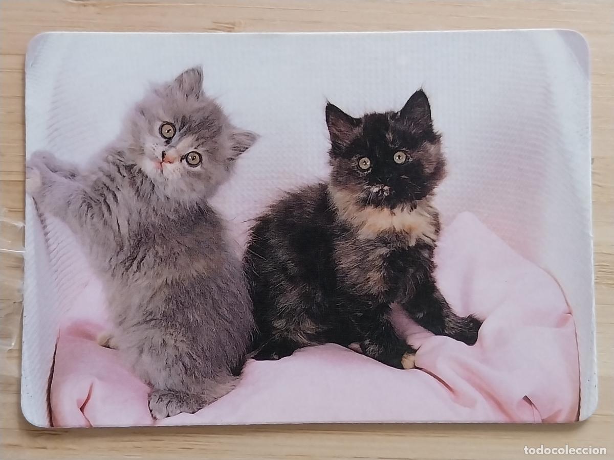 Collezionismo Calendari: GATITOS CALENDARIO 1990 PUBLI FOTOCOPIAS IMAGEN REF MP 1
