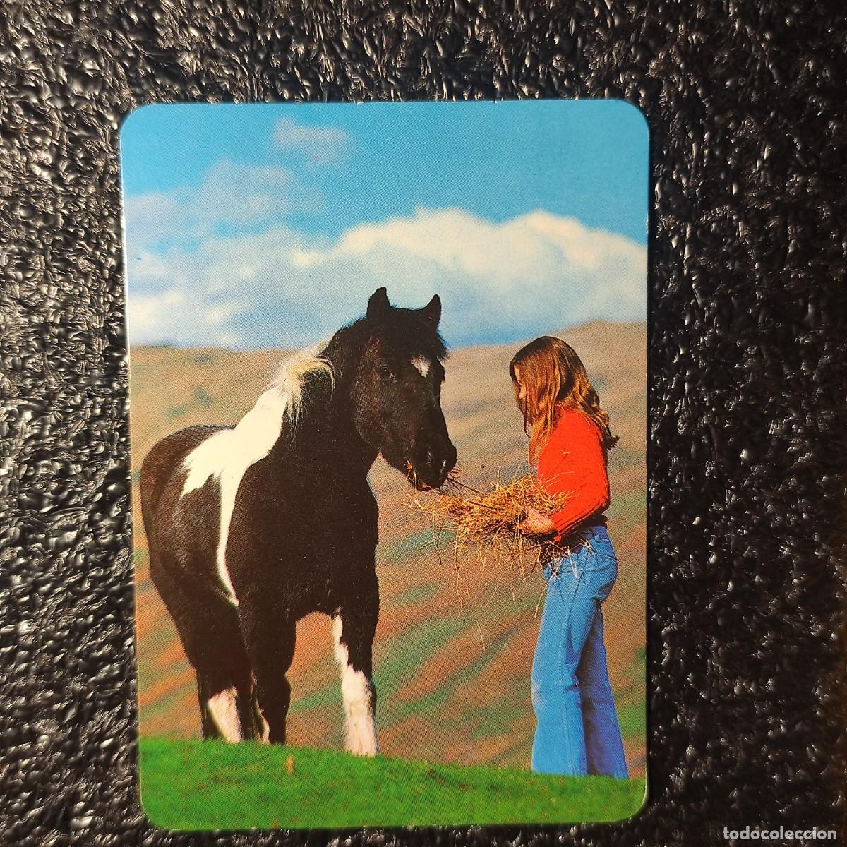 Coleccionismo Calendarios: CALENDARIO BOLSILLO NI&Ntilde;OS ** CABALLO .. JOYERIA GELDEN 1991 ** T1