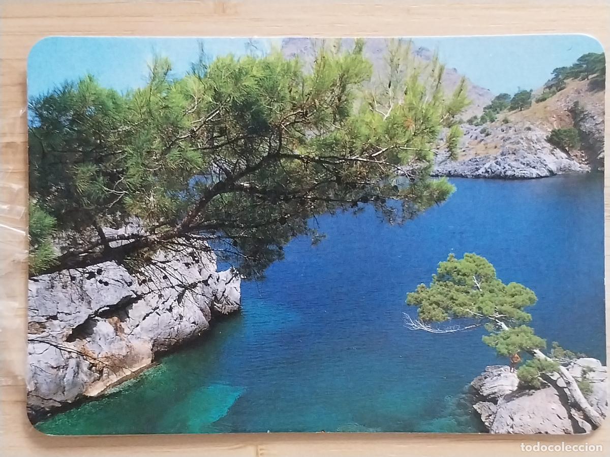 Coleccionismo Calendarios: NATURALEZA CALENDARIO 1993 PUBLI ZAPATERIA JULIAN MORATALAZ REF MC 91