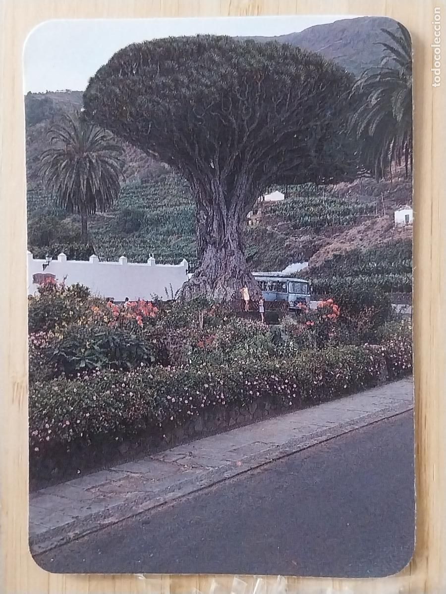 Coleccionismo Calendarios: NATURALEZA ARBOL CALENDARIO 1990 PUBLI AUTOS SERAUTO REF CBN 328