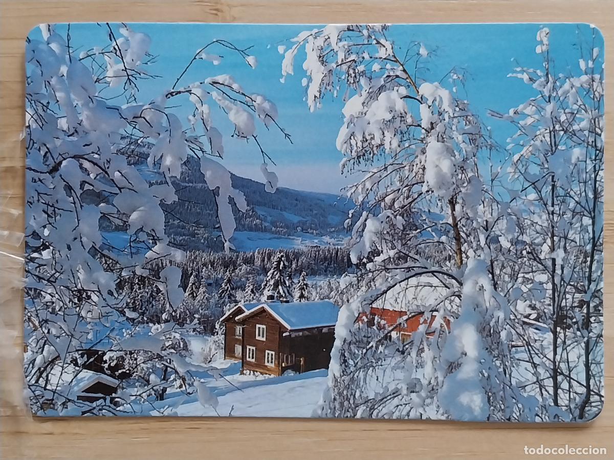 Coleccionismo Calendarios: NATURALEZA PAISAJE NEVADO CALENDARIO 1991 PUBLI BAR PACHANGA REF MP 75