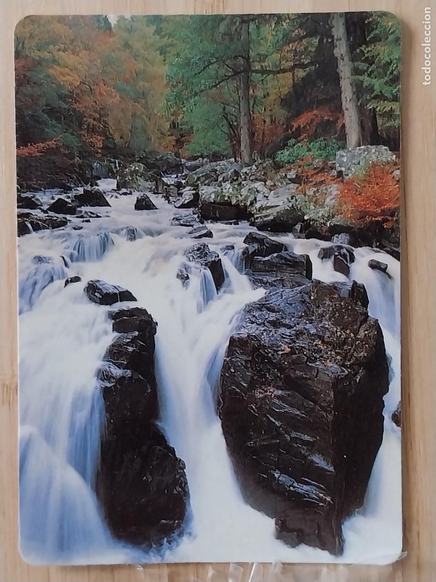 Colecionismo Calend&aacute;rios: NATURALEZA RIO CALENDARIO 1997 PUBLI BAR LORENGAR REF MP WCB 232
