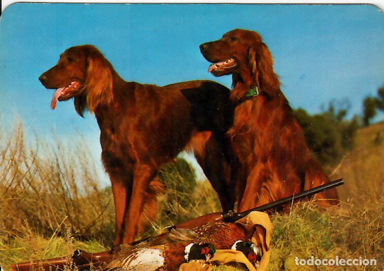 Coleccionismo Calendarios: CALENDARIO DE SERIE - 2000 - BO 556