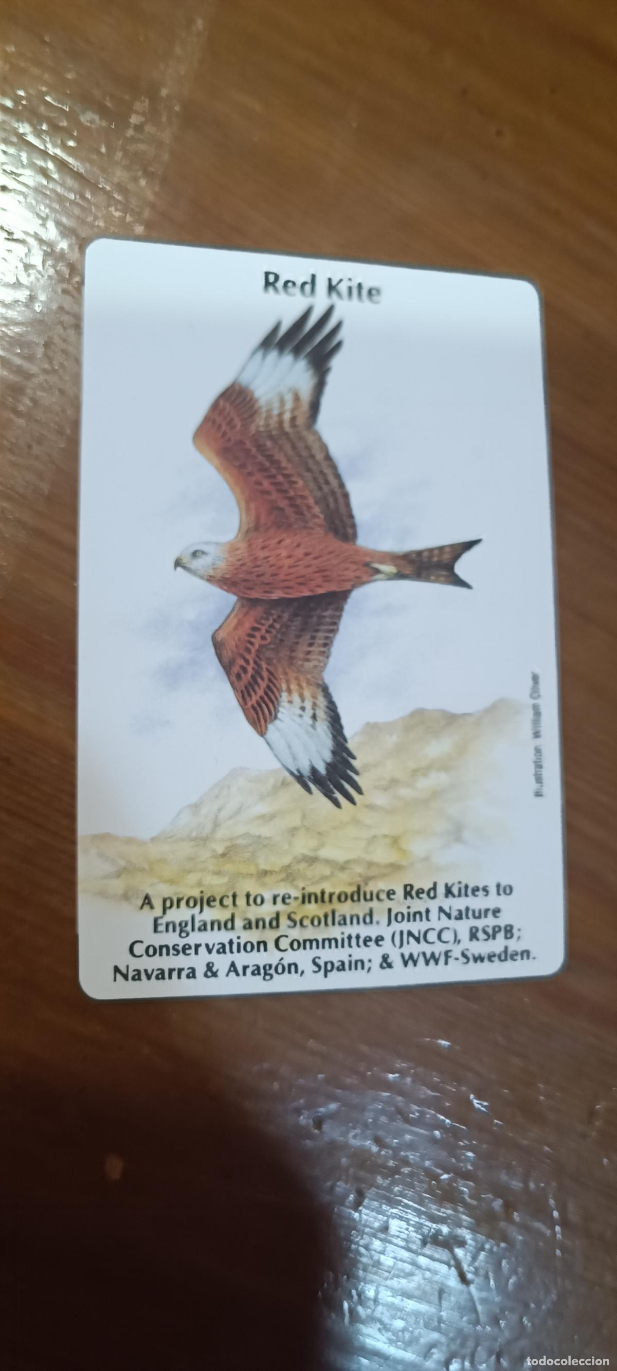 Coleccionismo Calendarios: CALENDARIO RED KITE - 1993 - BRITISH AIRWAYS - EN INGLES