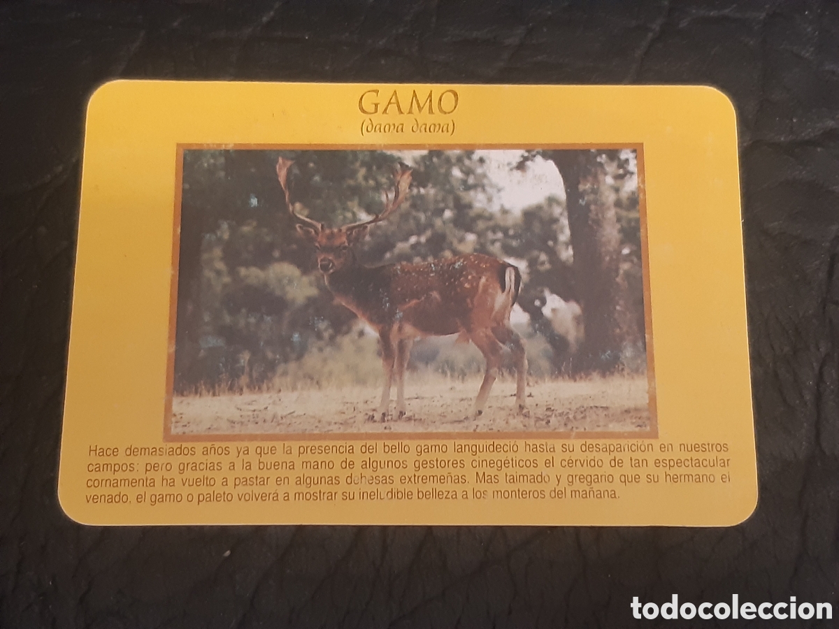 Coleccionismo Calendarios: Calendario Caja de Extremadura 1995