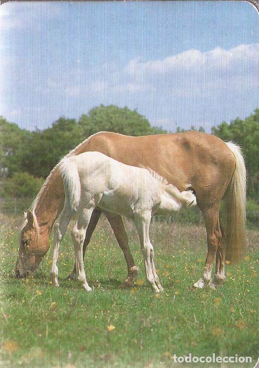 Collezionismo Calendari: CALENDARIO SERIE A&Ntilde;O 1993 SERIE B.O. N&ordm; 5741