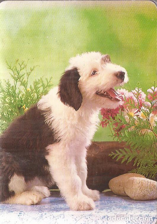 Collezionismo Calendari: CALENDARIO SERIE A&Ntilde;O 1993 SERIE B.O. N&ordm; 5761