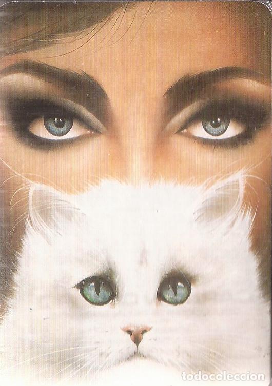 Collezionismo Calendari: CALENDARIO SERIE A&Ntilde;O 1993 SERIE B.O. N&ordm; 5698