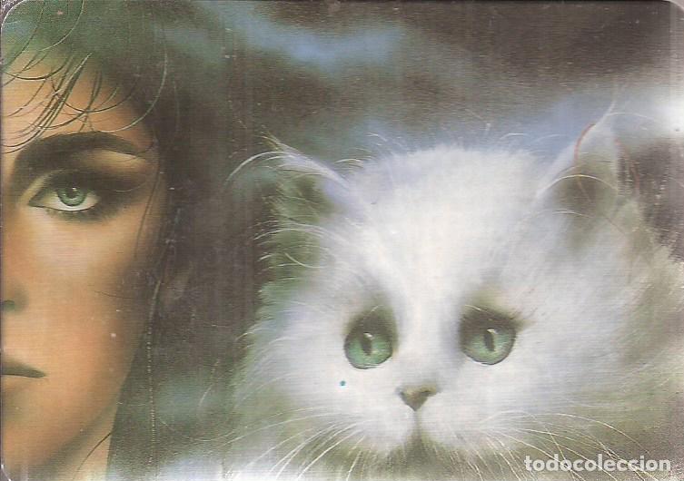Coleccionismo Calendarios: CALENDARIO SERIE A&Ntilde;O 1993 SERIE B.O. N&ordm; 5700
