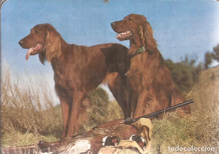 Coleccionismo Calendarios: CALENDARIO SERIE A&Ntilde;O 1993 SERIE B.O. N&ordm; 5750