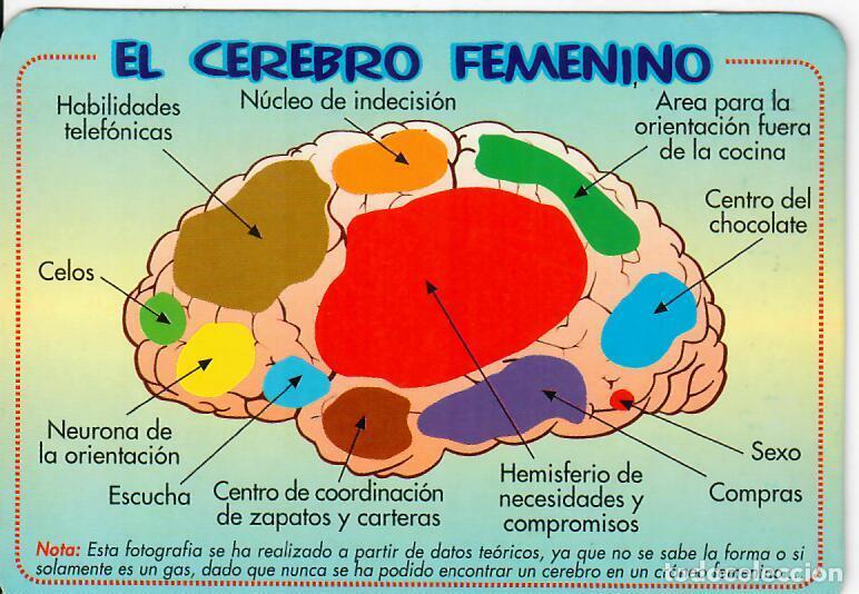Coleccionismo Calendarios: CALENDARIO DE SERIE - A&Ntilde;O 2000 - BO 629