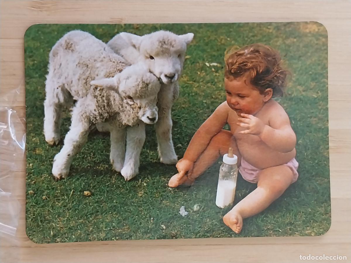Coleccionismo Calendarios: BEBE OVEJAS BIBERON CALENDARIO 1994 PUBLI BAR BIARRITZ REF BO 57 58
