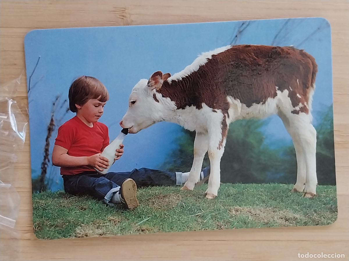 Coleccionismo Calendarios: NI&Ntilde;O TERNERA BIBERON CALENDARIO 1992 PUBLI CAFETERIA BILBA REF MP 13