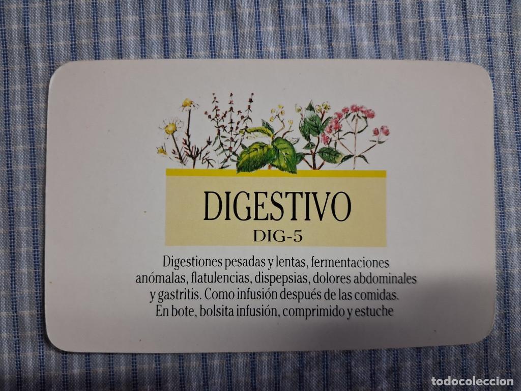 Coleccionismo Calendarios: Calendario Santiveri Digestivo. A&ntilde;o 1991. Estado ver im&aacute;genes